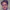 How to build a (streaming) AI chatbot in 10 minutes